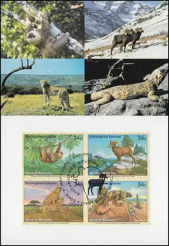 MK 71 von UNO New York 890-893 Gefährdete Arten Fauna 2002, amtl. Maximumkarte