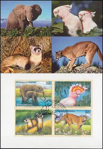 MK 47 de l'ONU New York 732-735 Espèces menacées Faune 1997 (carte maximale)