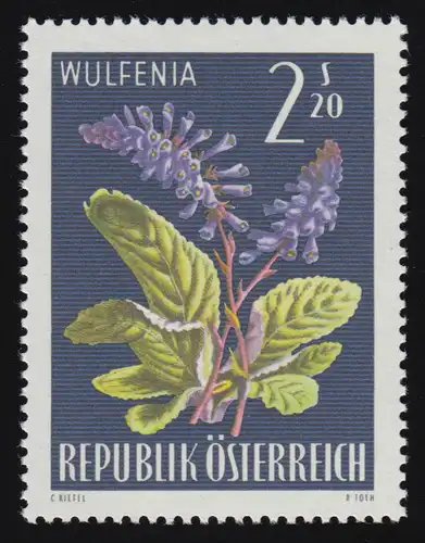 1211 Flora alpine, Carinthie (Wulfenia carinthiaca) 2.20 S, frais de port **
