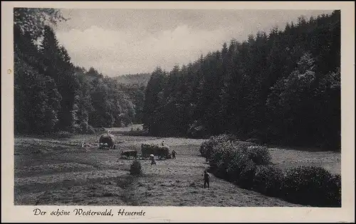 Temple de la campagne 5231 Sauveurs sur AK Westerwald Heuschäft, ÂGEENKIRCHEN vers 1961