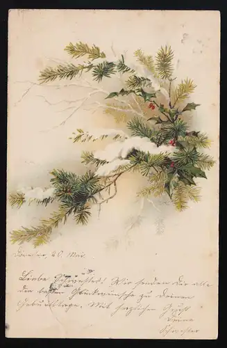 AK Sapin Branch + gui dans la neige, Halle (Saale) Bahnpost / Hanovre 20.5.1906