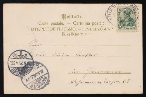 AK Tannenzweig + Misteln im Schnee,  Halle (Saale) Bahnpost / Hannover 20.5.1906