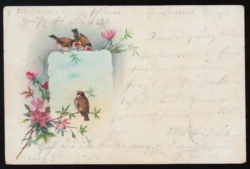 AK rosa Blumen Blüten, Rotkelchen, Nr. 222, Burgwedel/ Burgdorf 4.+5.2.1901