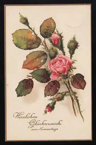 PP AK fleur de rose de couleur saumon sur la branche + bourgeons, bord d'or, Cöln 26.7.1916