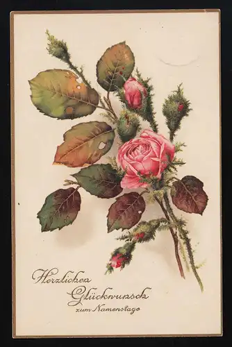 PP AK lachsfarbene Rosenblüte am Zweig + Knospen, Goldrand, Cöln 26.7.1916