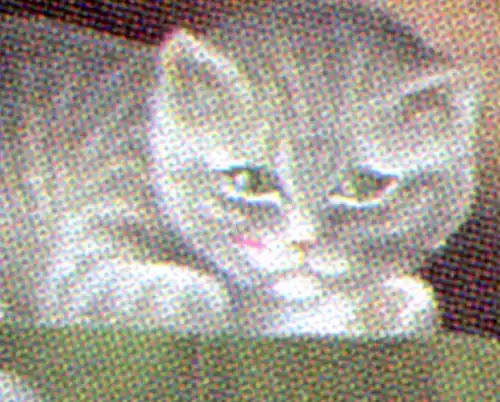 1775I Sifflement: ER-Vbl. avec PLF I: ligne à côté du nez, case 8, ESSt Bonn