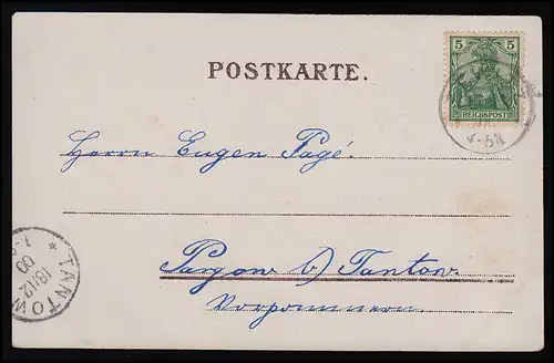 AK Hirsch am Waldrand + Neige-grognon, ZEWITZ (CEWICE) / TANTOW 18.12.1900