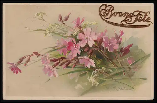 AK T.S.N. S. 1119, Bonne Feté, Plumes roses, Poste de champ 1. Marine Div. 27.3.15