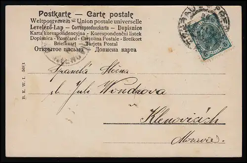 Photo AK B.K.W. I. 568/1, Nom: ANNA formé d'oeillets blancs, Přerov 26.7.1904