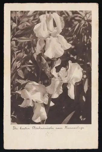 Photo AK NPG 2005 fleurs blanches Félicitations Nom, ENNIGER d'après IBURG 19.11.34