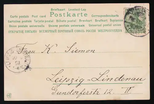 AK WHB Strauß Veilchen goldenes Band BLANKENBURG /LEIPZIG LINDENAU 19./20.8.1903