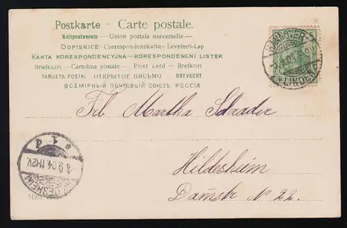 AK Série 2083 Œillets rouge / blanc dans Vase HANNOVER /LINDEN selon HILDESHEIM 8.9.1904