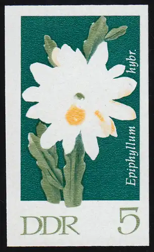 1625 Cactus de feuille 5 Pf: pression de phase non-dente, ** post-frais