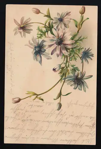 AK violet marguerites fleurs Bouqet, ST.GALLEN /AMRISWEIL Brf. Exp. 4.10.1899