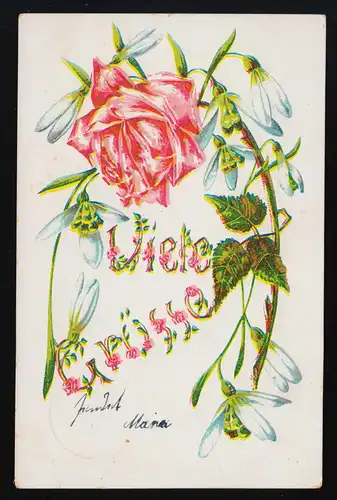 AK No 5026 "Beaucoup de salutations" Rose avec le glaçon de neige, STRIEGAU (STREZGOM) 7.4.1909