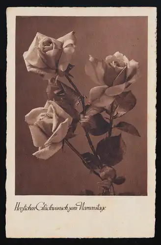 Photo AK 1018b Roses Félicitations WUNSDORF anniversaire de nom après Wachtendonk 17.8.1939