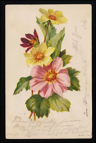 AK Blumen, Narzissen und rosa /lila Blüten, HERISAU / SCHWELLBRUNN 5.8.1903