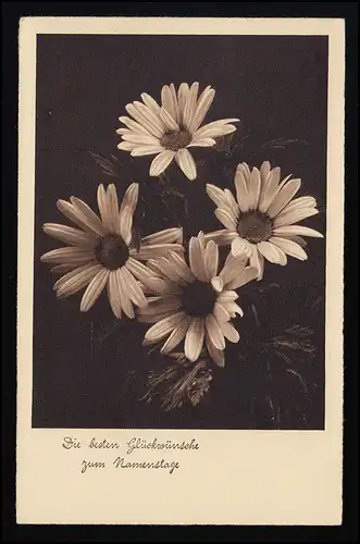 Foto AK Margeriten NPG No. 2223, Glückwunsche Namenstag, OSNABRÜCK 20.11.37