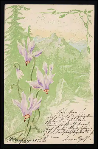 AK No 695 Alpenveilchen in lila vor Bergkulisse in Grüntönen, ZÜRICH 25.7.1902