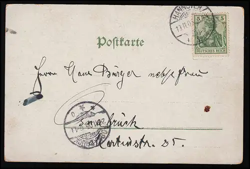 AK Fleurs Fleures Floraisons Bosses Herbes, HANNOVER/ OSNABRUCK 19/20.11.1905