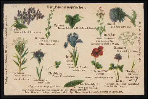 AK "La langue des fleurs" Fleurs et leur importance HAMBURG/BORGFELDE 9.2.1900