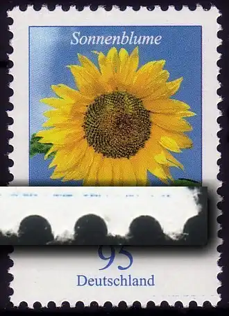 2434 Blume 95 C.- MDF Unterrand-Strich RECHTS auf Marke mit Nr., 5er-Streifen **
