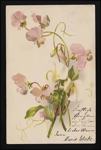 AK Blumen Wicken zart weiß & Lachs /Pfirsich Farben, ALTONA OTTENSEN 60.5.1903 