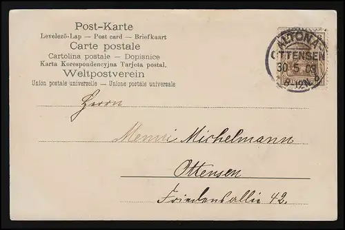 AK Blumen Wicken zart weiß & Lachs /Pfirsich Farben, ALTONA OTTENSEN 60.5.1903 