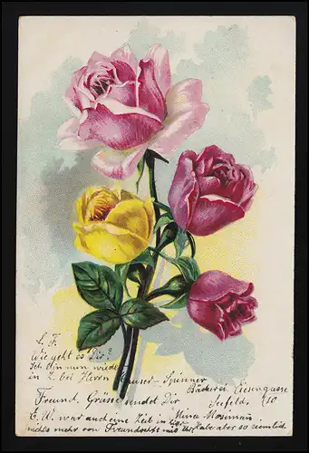 Blumen AK P.F. B Serie 2834 Rosen gelb rosa rot, ZÜRICH / PESEUX 19./20.11.1904