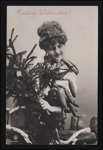 RPH AK 679/80 Noël femme casquette à fourrure avec riz + cônes sur la clôture, 20.12.15