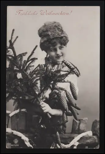 RPH AK 679/80 Noël femme casquette à fourrure avec riz + cônes sur la clôture, 20.12.15