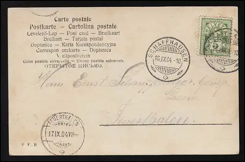 AK 4042 Dame Hut Période de fondation Gigot Blouse Roses CHAUFFHAUSEN/ FEUERTHALEN 17.9.04