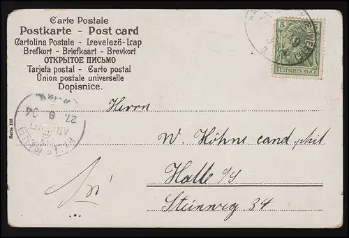 AK Serie 103 Glockenblumen Farn Schwalbe Vers, Bahnpost LÖHNE/ HALLE 27.8.1904  