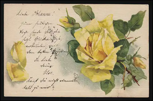 AK gelbe Rosen geriffelt, Struktur Karte, STUTTGART/ LUDWIGSBURG 29./30.01.1904