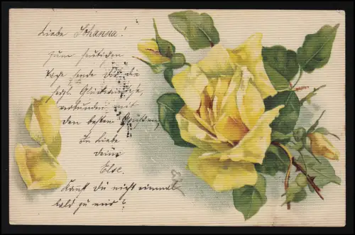 AK gelbe Rosen geriffelt, Struktur Karte, STUTTGART/ LUDWIGSBURG 29./30.01.1904
