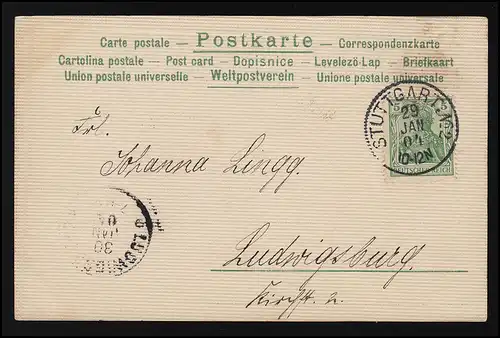 AK gelbe Rosen geriffelt, Struktur Karte, STUTTGART/ LUDWIGSBURG 29./30.01.1904