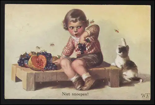 AK NL Kind will Obst Essen, Katze fängt Wespe Niet snoepen! ALKMAAR 11.1.1930
