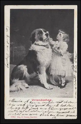 Foto AK Mädchen im Ballkleid tröstet ihren Hund "Vriendschap" KROMMENIE  03.1902