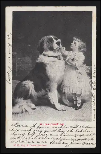 Photo AK fille dans la robe de bal console son chien "Vriendschap" CROMMENIE 03.1902