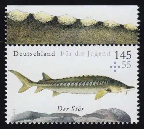 3171 Jugend - Süßwasserfische: Der Stör aus MH 100, postfrisch **