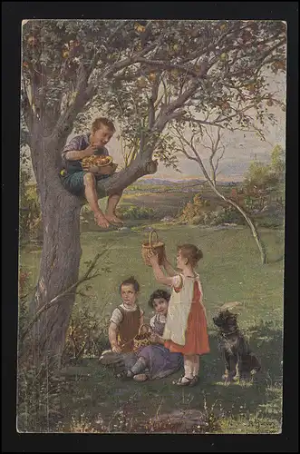 AK NL PRIMUS Enfants + Chien à pomme moissonnant sous un arbre, ROTTERDAM 3.7.1928