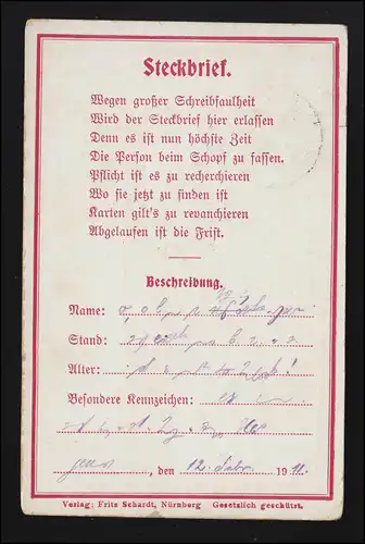 Lyrik AK Steckbrief Vers Humor, Reim zum Ausfüllen, SCHILDBERG (Posen) 13.2.1911