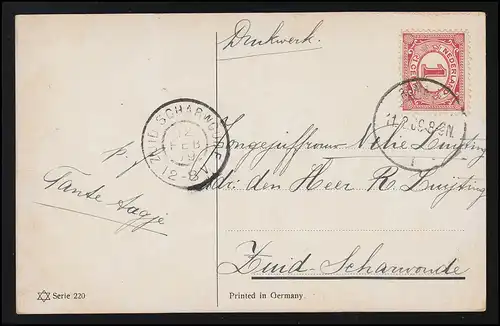 Enfants AK garçon partage nourriture oiseau dans la cage, NL ZUID SCHARWOUDE 12.2.1909