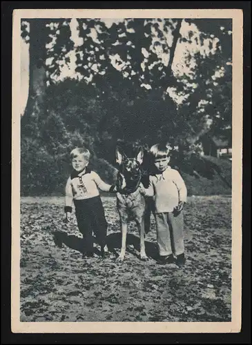 Foto AK Kinder & Schäferhund auf Wiese, OBERSTDORF nach MÖLLENSEN 25.5.1956