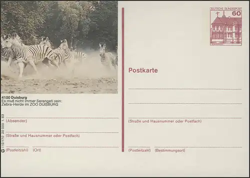 P138-l12/170 4100 Duisburg, troupeau de Zebra au zoo de Douisburg **