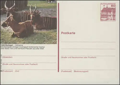 P138-l7/111 7000 Stuttgart Wilhelma Antilope Bongos **