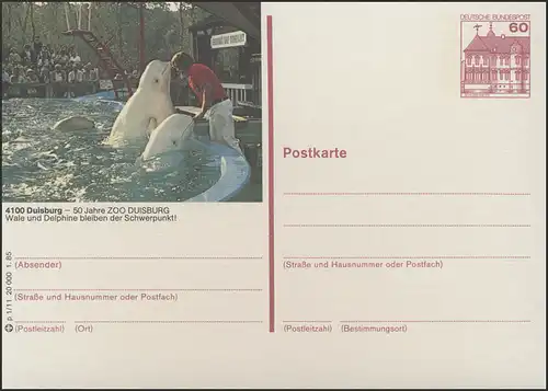 P138-p0101 4100 Duisburg, 50 ans Zoo Duisbourg: Delphine **