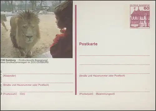 P138-s9/136 4100 Duisburg, Zoo: grande installation de chat **