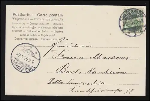 Enfants photo garçon disperse les fleurs voitures anniversaire HILDESHEIM/ BAD NAUHEIM 1.8.05