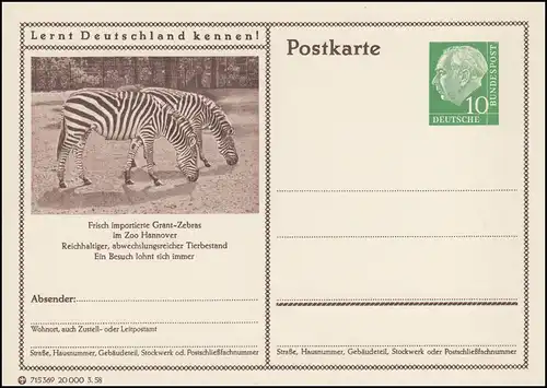 P024-333 Hanovre, Zoo, Zebra **